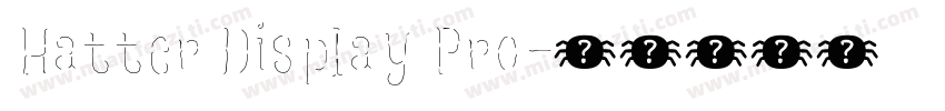 Hatter Display Pro字体转换